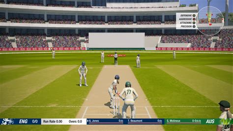 Cricket 19 : Un simulateur de cricket complet et immersif ?